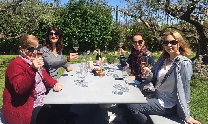 Penedes and Cava Winery Small Group Tour