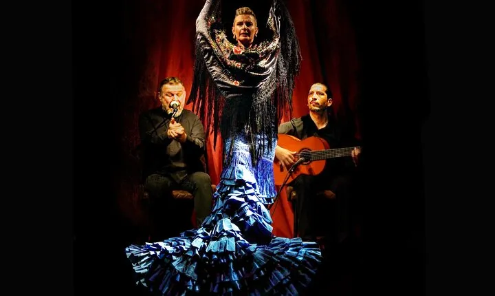 Flamenco Casa Sors & Guitar Museum with Optional Drink or Dinner