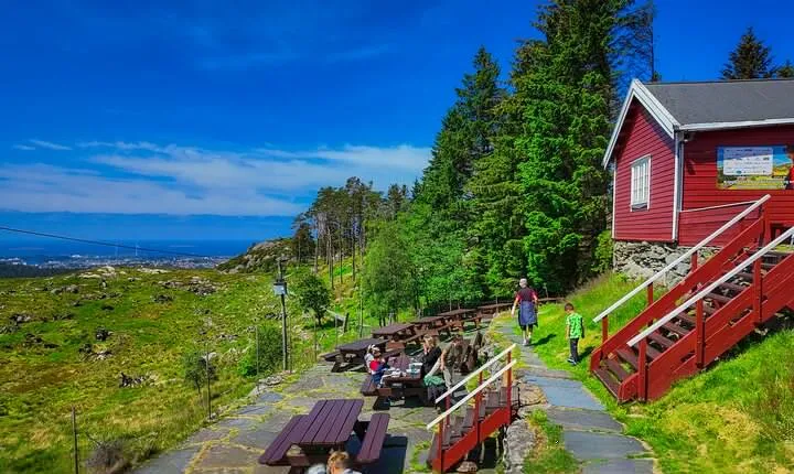 Scenic tour to Steinsfjellet, locals at Kringsjå & Rising Tide