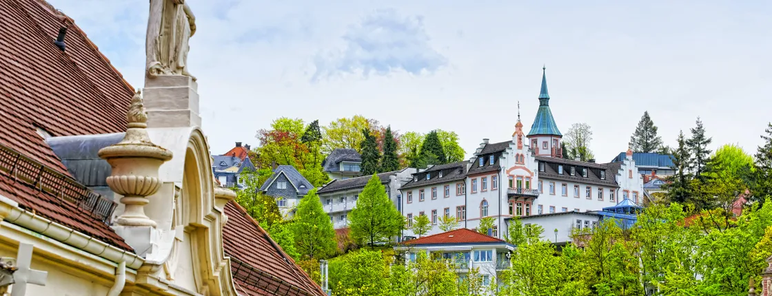 Baden Baden Visit and Black Forest Shared Tour