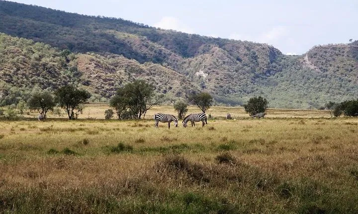 Private Hiking Day Trip to Mt. Longonot from Nairobi