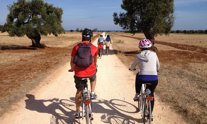 Puglia Bike Tour: Cycling Through the History of Extra Virgin Olive Oil