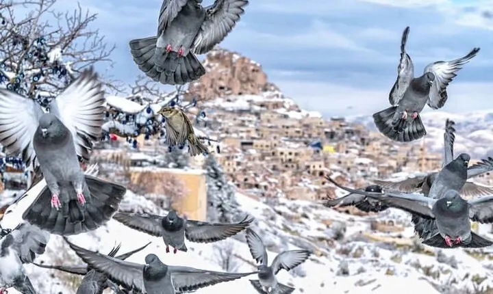 Explore Cappadocia’s Underground City – Private Tour by Mercedes 