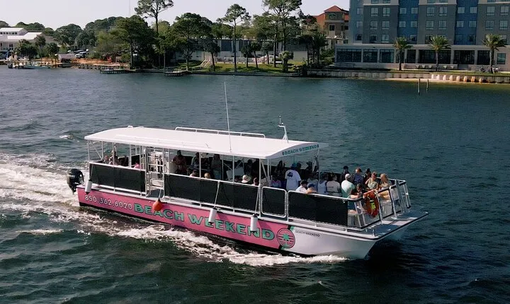 Family Friendly Snorkeling and Dolphin Tour