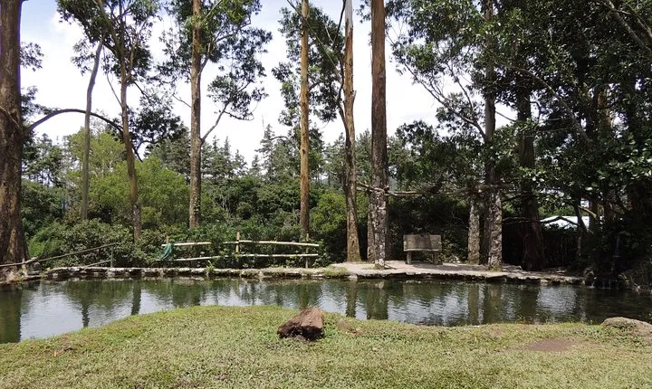 Antón Valley Tour from Panama City Nature,Waters