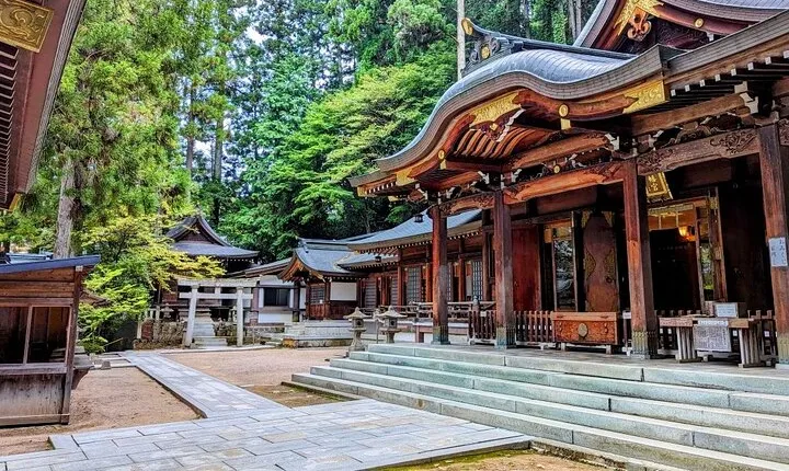 Full-Day Tour: Immerse in Takayama's History and Temples