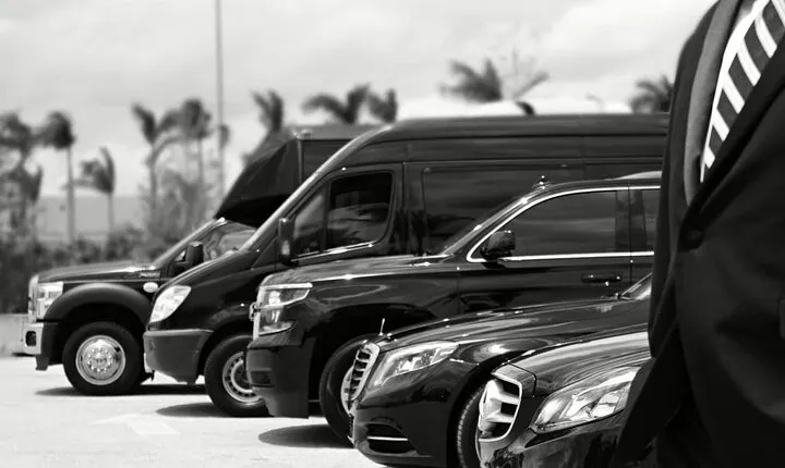 One-Way Transfer from the Airport to the Cruise Port