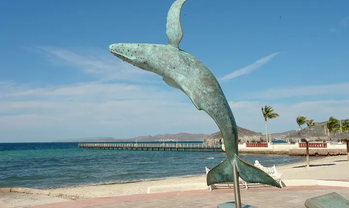 La Paz, Todos Santos, Balandra or Tecolote Beach Tour