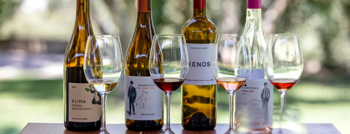 Tour of western Crete with winery and olive oil estate