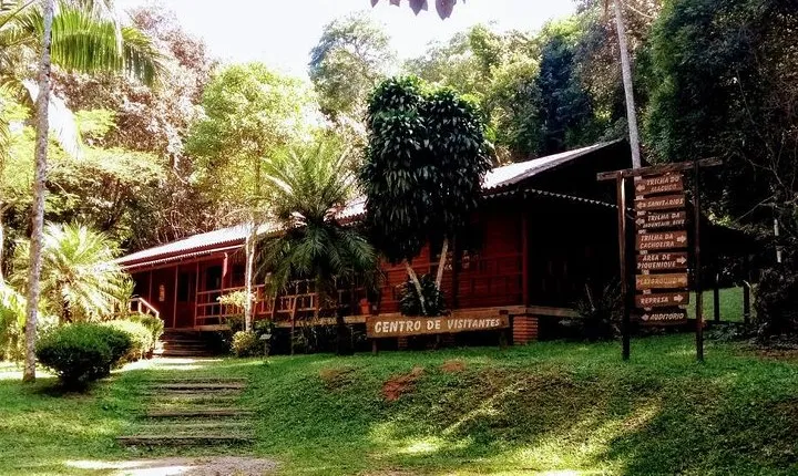 Rain Forest Trail Cantareira Natural Park from Sao Paulo