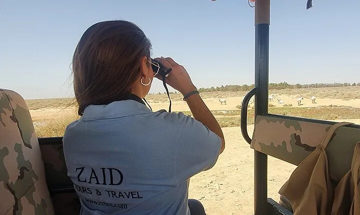 Private Tour of Desert Castles Eastern Jordan with optional Azraq Wetland Visit