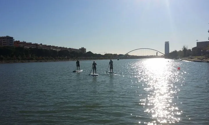 Paddle Surf Rental