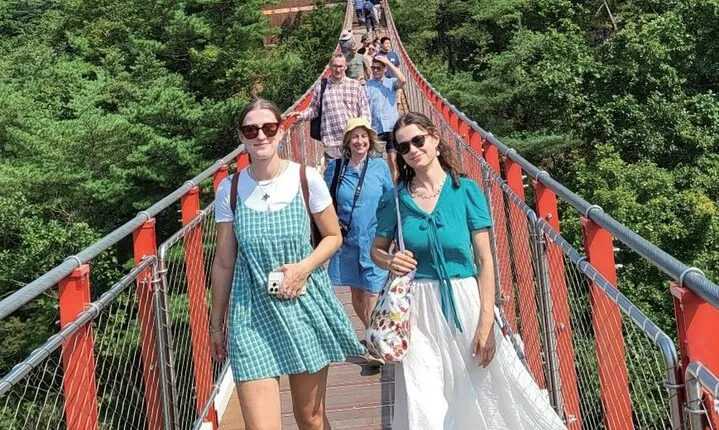 Best DMZ Tour: Defector Talk Included + Suspension Bridge Option