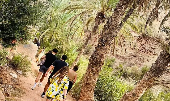 Paradise Valley Agadir Day Trip