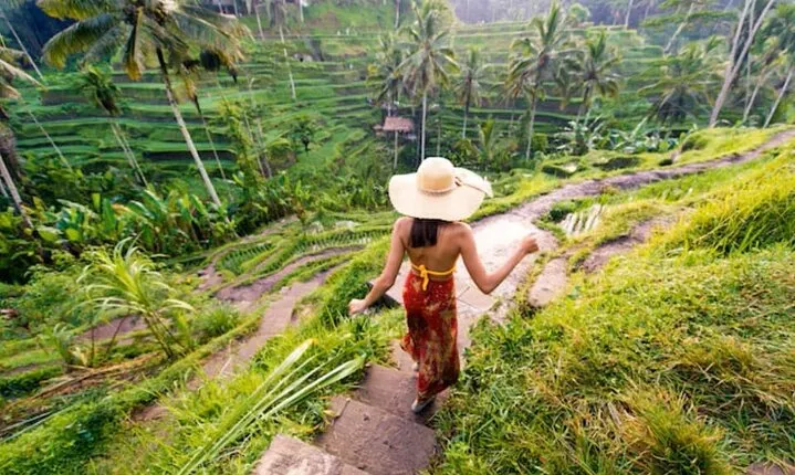 Ubud Full Day Tour: Private and Customizable