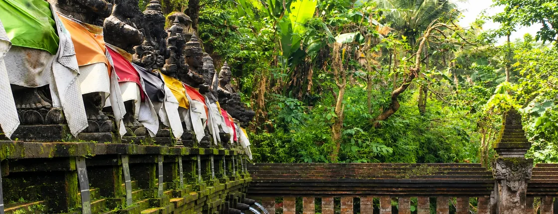 Private Bali's Most Instagrammable Swing and Sacred Holy Bath