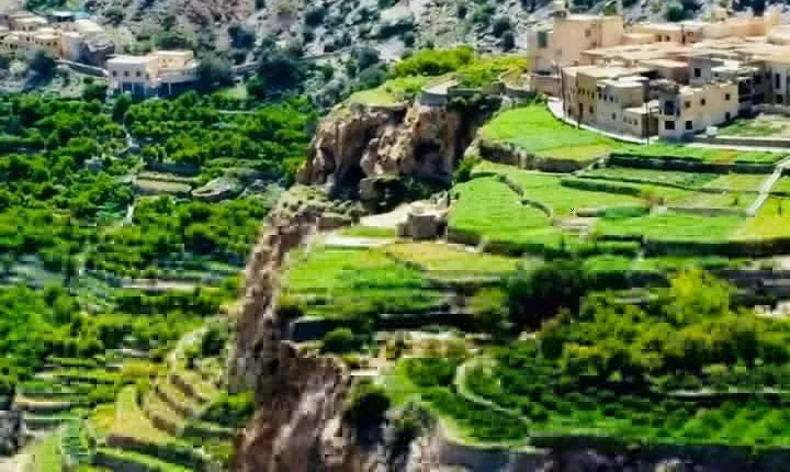 4-Days Private Jamila Sightseeing Tour