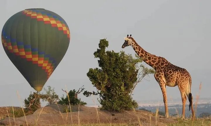 4 Days Luxury Lodge Safari To Tarangire, Serengeti & Ngorongoro Crater.