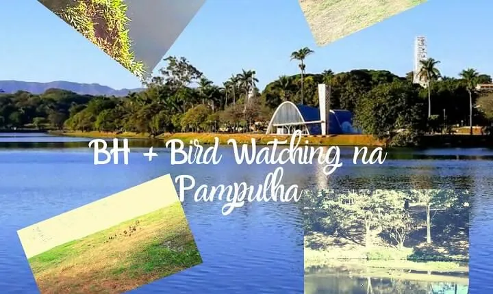 BH + Bird Watching 01 day