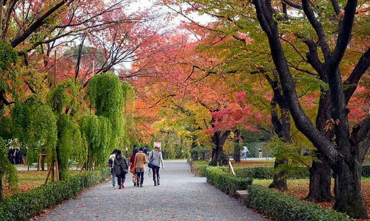 Kyoto Imperial Palace & Nijo Castle Guided Walking Tour - 3 Hours