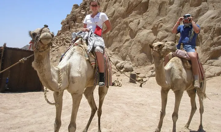 Camel ride in Sharm elsheikh desert