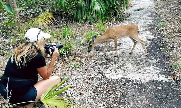 Full-Day Tour of Florida Keys Including Aquarium Encounters from Key West