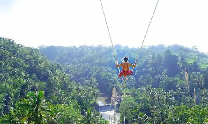Bali Jungle Swing and White Water Rafting All Inclusive