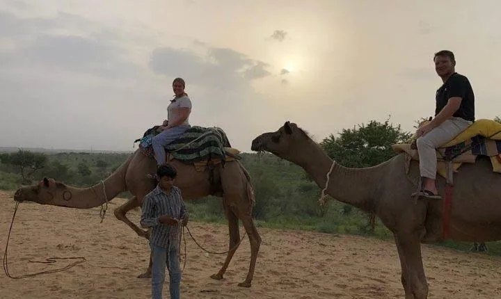 Camel Safari Half -Day Tour In Jaisalmer