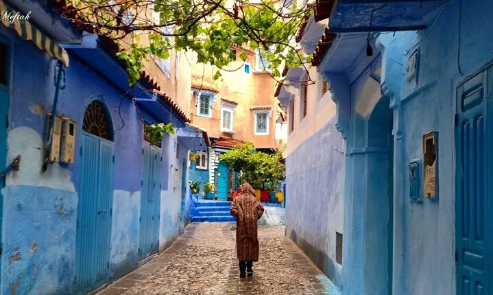 Chefchaouen private full day excursion & panoramic of Tangier