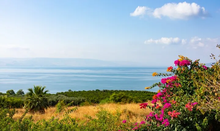 Full Day Galilee Tour from Nazareth