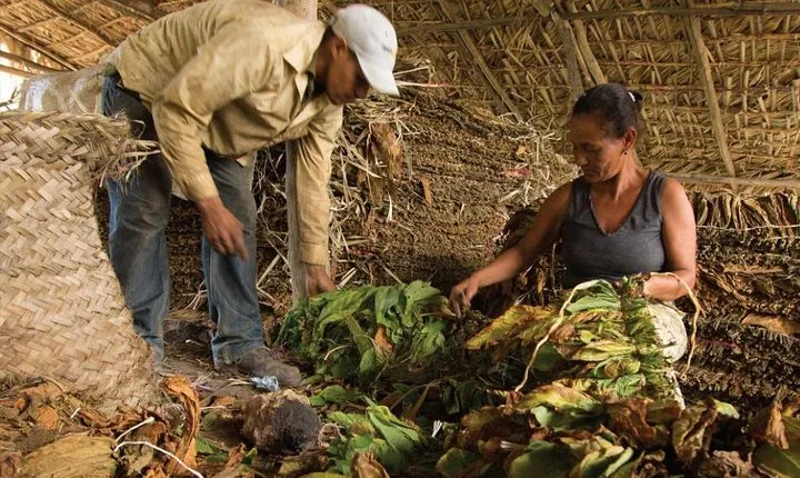 Higuey City Tour from Punta Cana