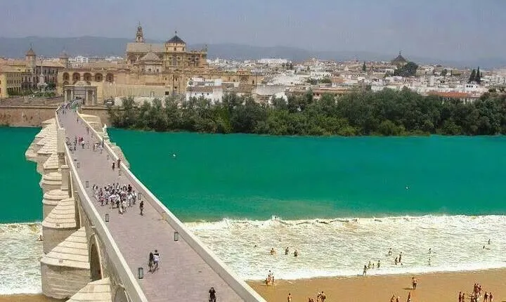 Cordoba private tour from Granada for up to 8 persons including the great Mosque