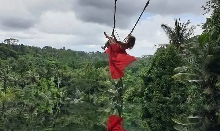 Bali Ubud Highlights Private Tour Guided with Transfers