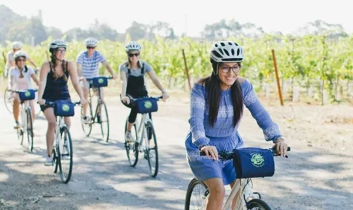 Full-Day Napa Valley E-Bike Tour with Picnic Lunch