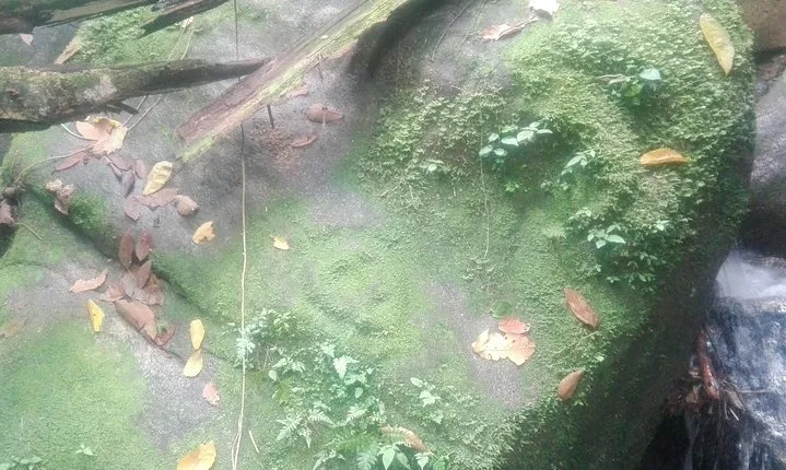 Lost jewel, Tour 1 day Sierra nevada de santa marta. only relics !.