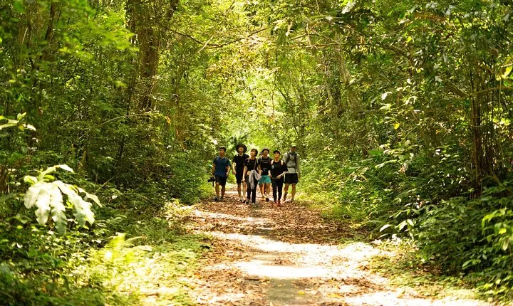 From Catba: Full Day Trekking Cat Ba National Park, Viet Hai