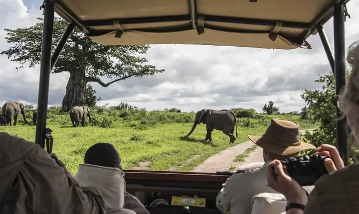 3 Days Masai Mara and Lake Naivasha Tour with Accommodation