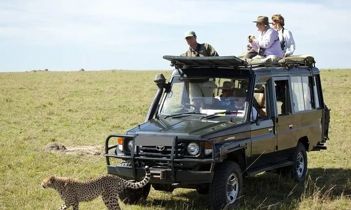 3-Day Jeep Safari Tour in Maasai Mara from Nairobi