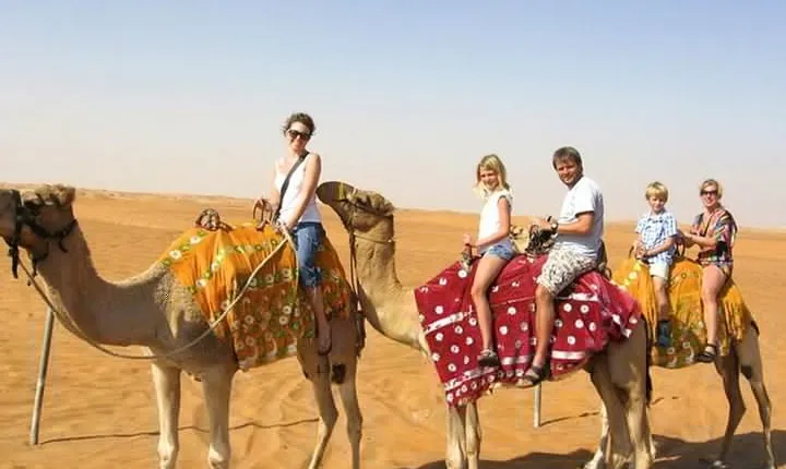 One Day Guided Jaisalmer Local Sightseeing Trip by Cab