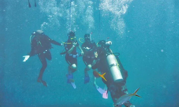 PADI Open Water Diving Course and Pickup Service– Sharm El Sheikh