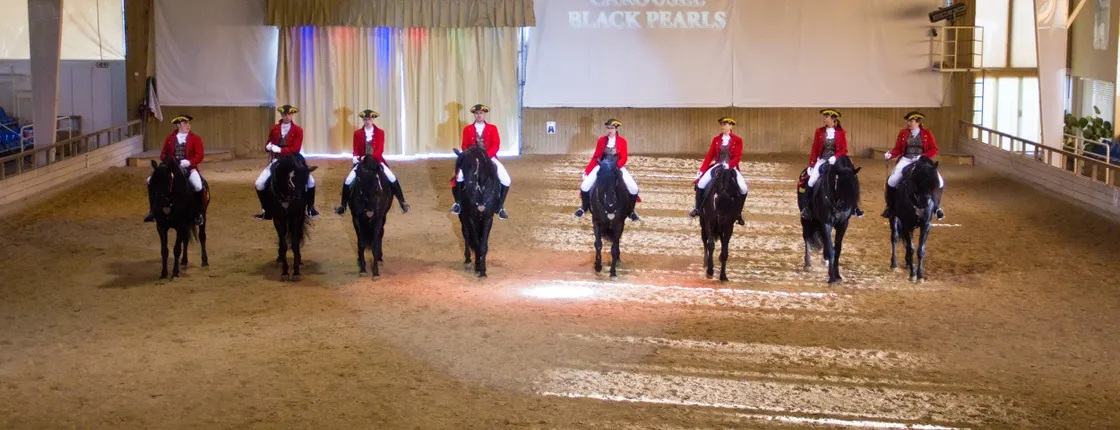 Somni Dancing Horses