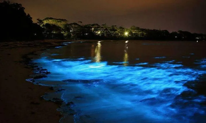 Small group tour from Negril to Luminous Lagoon.