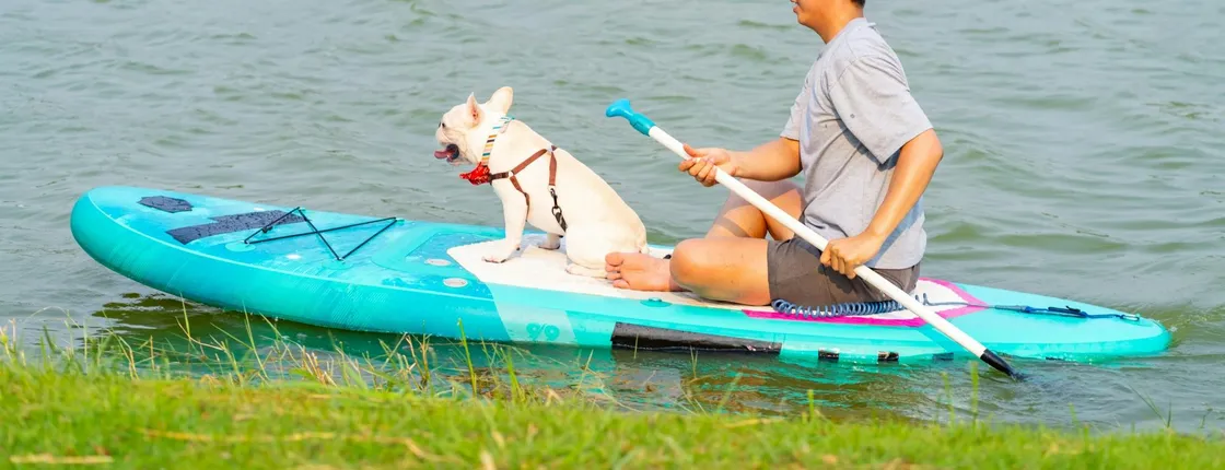90-minute paddle surf with dog experience in Seville