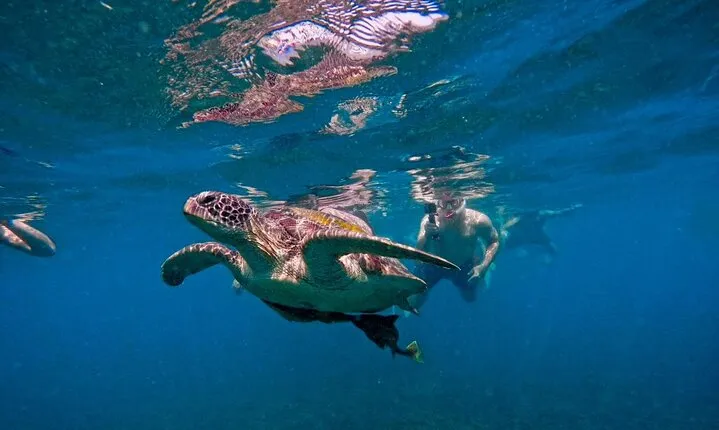 Koh Tao: SunSet Magic Snorkeling Day Trip Tao & Nangyuan w/ Meals