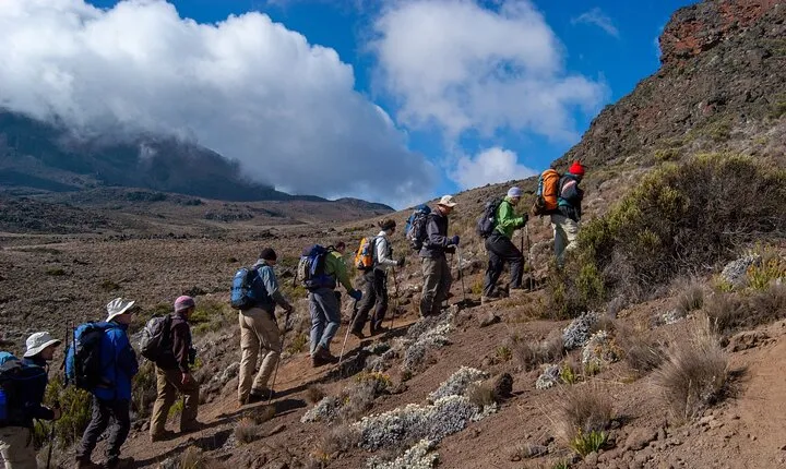 7 Days Mount Kilimanjaro Climbing Machame Route: