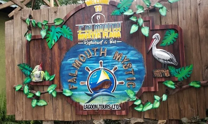 Private Luminous Lagoon Tour from Montego bay 