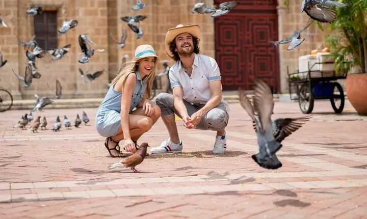 Private Transfer from Airport to Hotels in Cartagena