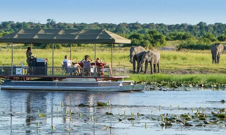 Full Day Private Tour in Chobe