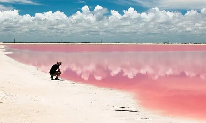 Adventour Day: Coloradas and Rio Lagartos Excursion from Cancun!
