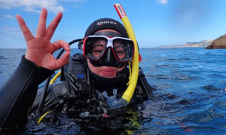 Try Scuba Diving in Arrabida Natural Park (Near Lisbon) with pictures